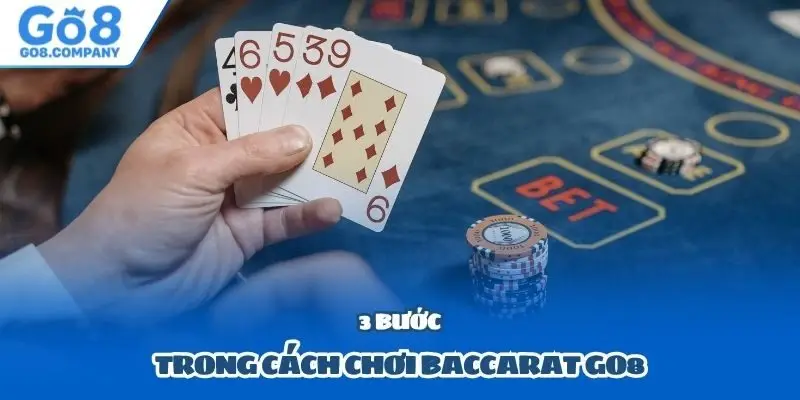 3 bước trong cách chơi Baccarat Go8