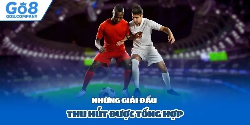 Những giải đấu thu hút được tổng hợp