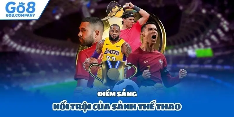 Điểm sáng nổi trội của sảnh thể thao